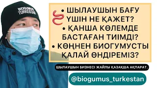 ШЫЛАУШЫН БИЗНЕСІНЕ ҚЫЗЫҒУШЫЛАРҒА ҚАЗАҚША АҚПАРАТ | КӨҢНЕН БИОГУМУС ҚАЛАЙ ӨНДІРЕМІЗ?