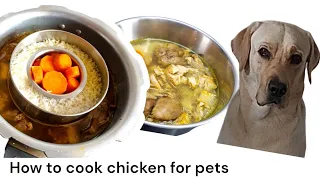 🦮 how to cook chicken for pets / Healthy home cooked food for dogs/Protein packed meal for labradors