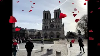 Notre Dame de Paris - Paris Notre Dame Cathedral before Fire Damage