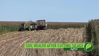 Soil Health After Cutting Silage #1065 (Air Date 9-2-18)