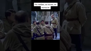 Ни любви ни тоски ни жалости #tiktok #shorts #сволочи #фильм #война