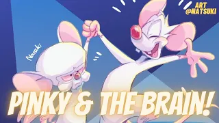 Pinky And The Brain Theme Song | Vocal Cover【Treb】