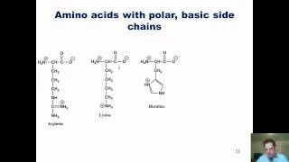 Chapter 23 – Protein Chemistry: Part 1 of 4