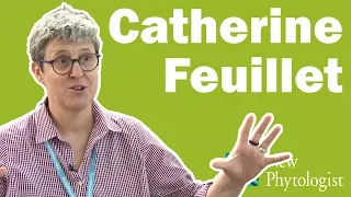 In conversation: Catherine Feuillet