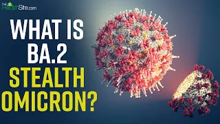 What Is BA.2 Stealth Omicron Variant ? | Coronavirus