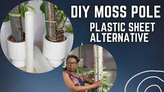 FREE and EASY alternative for Plastic Sheet Backed Moss Pole | The Leca Queen