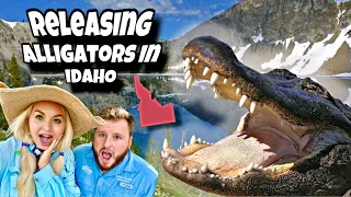Releasing Alligators in IDAHO!?