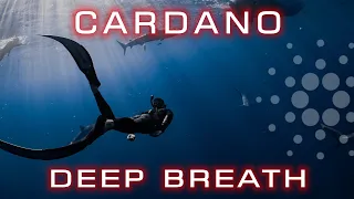 Cardano (ADA) Deep Breath | Cardano Insights