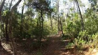 Hiking onto The Florida Trail from Alexander Springs