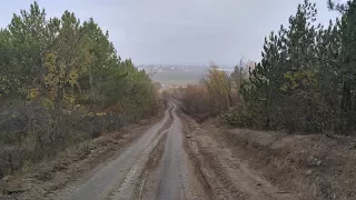 Поездка за грибами в Егоровский лес.