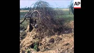 SYND 25 11 77 AFTERMATH OF CYCLONE IN ANDHRA PRADESH