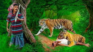 Tiger Attack Man in Forest | Royal Bengal Tiger Attack Fun Made Movie part 14