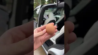 The Tesla Model X doors will barely break an egg 😳🥚