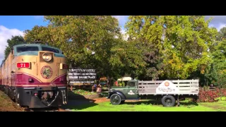 Get on Track with the Napa Valley Wine Train