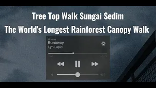 Tree Top Walk Sungai Sedim : The World's Longest Rainforest Canopy Walk