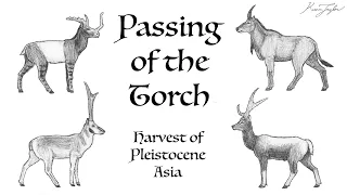 Passing of the Torch: Harvest of Pleistocene Asia