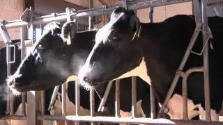 Odor Assessment Lab tries to tone down farm odor