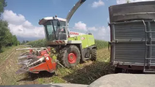 [GoPro] CLAAS JAGUAR 850 & kemper Champion 450 - Insilato 2016 *HD*