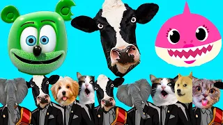 Super COW VIDEOS Megamix - Meme Baby Shark, Coffin Dance, Gummy Bear COVER