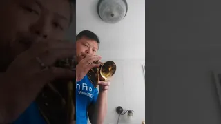 Carol brass pocket trumpet vs mini pocket