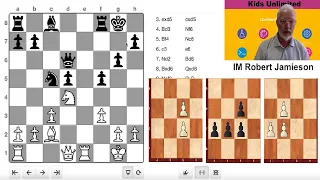 Understanding Positional Play in Chess - IM Robert Jamieson