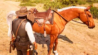 NUNCA MOLESTES A UN CABALLO | RED DEAD REDEMPTION 2