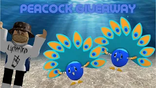Peacock Giveaway!! (Roblox Adopt Me Update)