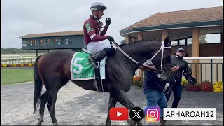 Gunite tunes up for the Breeders' Cup in 2023 Parx Dirt Mile Stakes