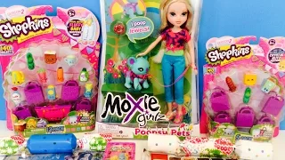 Moxie girlz Poopsy Pets, Shopkins, Elsa Anna  Frozen Photos, One Direction, toy review haul video!