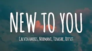 New To You  - Calvin Harris, Noramani, Tinashe & Offset ( Lyrics )