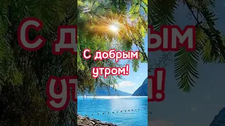 Доброе утро! ☕️🌹Пусть Ваш день сложится успешно! 🙏🪷