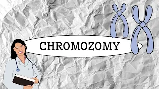 CHROMOZOMY - Aneb místo, kde se skrývá naše DNA