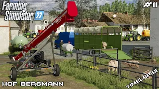 Keeping all PRODUCTIONS in business | Hof Bergmann | Farming Simulator 22 | Episode 11