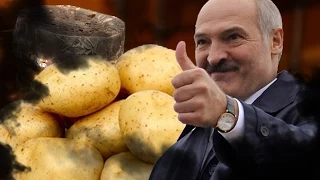 Кальян на картошке [Рецепт от Лукашенко!] | Hookah on a potato