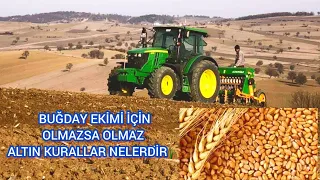 BUĞDAY Ekmeden Kesin İzleyin🌾Dekara Buğday Nasıl Ve Ne Zaman Ekilir🌾Buğdaya Hangi Gübreler Atılır