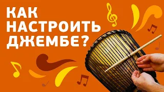 Как настроить джембе с веревочной системой? Узел "Волны Мали"