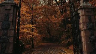 you're walking under the golden trees watching the melancholic leaves dancing in the air (playlist)