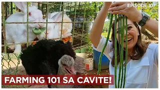 FARM RAID: Gusto Mo Bang Lumipat Sa Cavite?! | Karen Davila Ep107