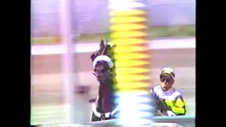 1986 The Meadows FALCON SEELSTER-Tom Harmer Invitational Pace-World Record