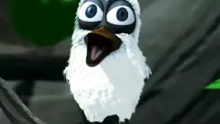 Screaming bird