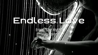 Endless Love - Jackie Chan feat Kim Hee-Seon | Harp Cover