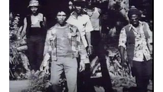 Bob Marley and the Wailers (Documentary)