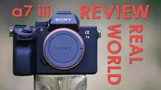 Sony a7 iii | Real world review for photographers