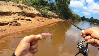 A CLÁSSICA PESCARIA DE ROBALOS COM MICRO ISCAS. Pesca Urbana, o molinete cantouuuu.