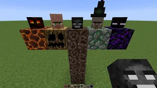 what if you create WITCH WITHER BOSS in MINECRAFT #227