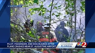 2 people, 1 dog injured in Florida plane crash