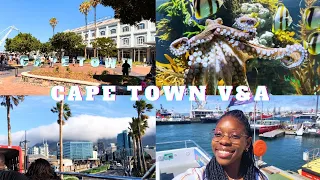 V&A Waterfront | Things To Do in Cape Town?