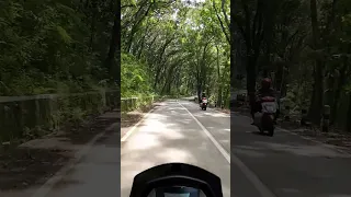 TOURING NMAX LEWAT HUTAN DI JOGJA