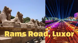 Opening of Rams road at Luxor - Sphinx avenue 🇾🇪