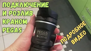 Розлив пива пегасом PEGAS S DRIVE